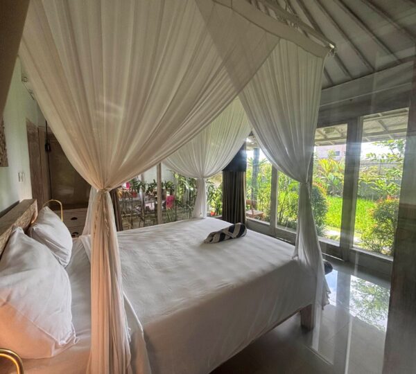 Luxury Interior